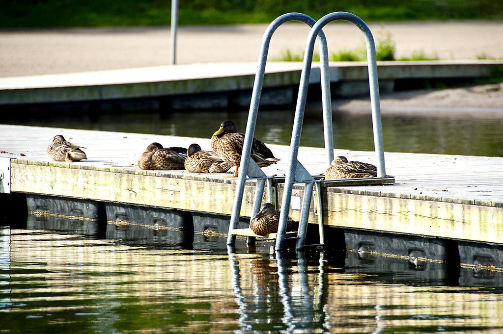Roesjoebaden Camping & Stugby Sollentuna Zewnętrze zdjęcie